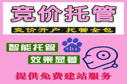 百度竞价排名：从失败到成功的转型案例
